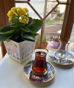 Gold Plated Nida Arabic Tea Glasses Set - Traditional Turk
